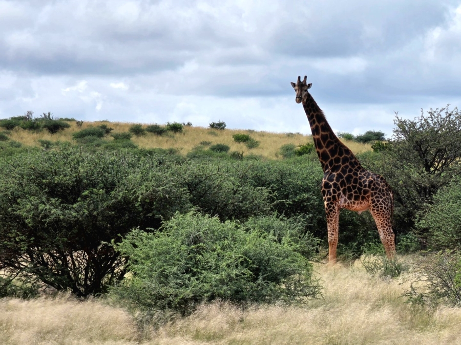 Commercial Property for Sale in Griekwastad Rural Northern Cape